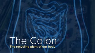 Why Colon Cancer Develops - Yale Medicine Explains by Yale Medicine 910 views 2 months ago 4 minutes, 30 seconds