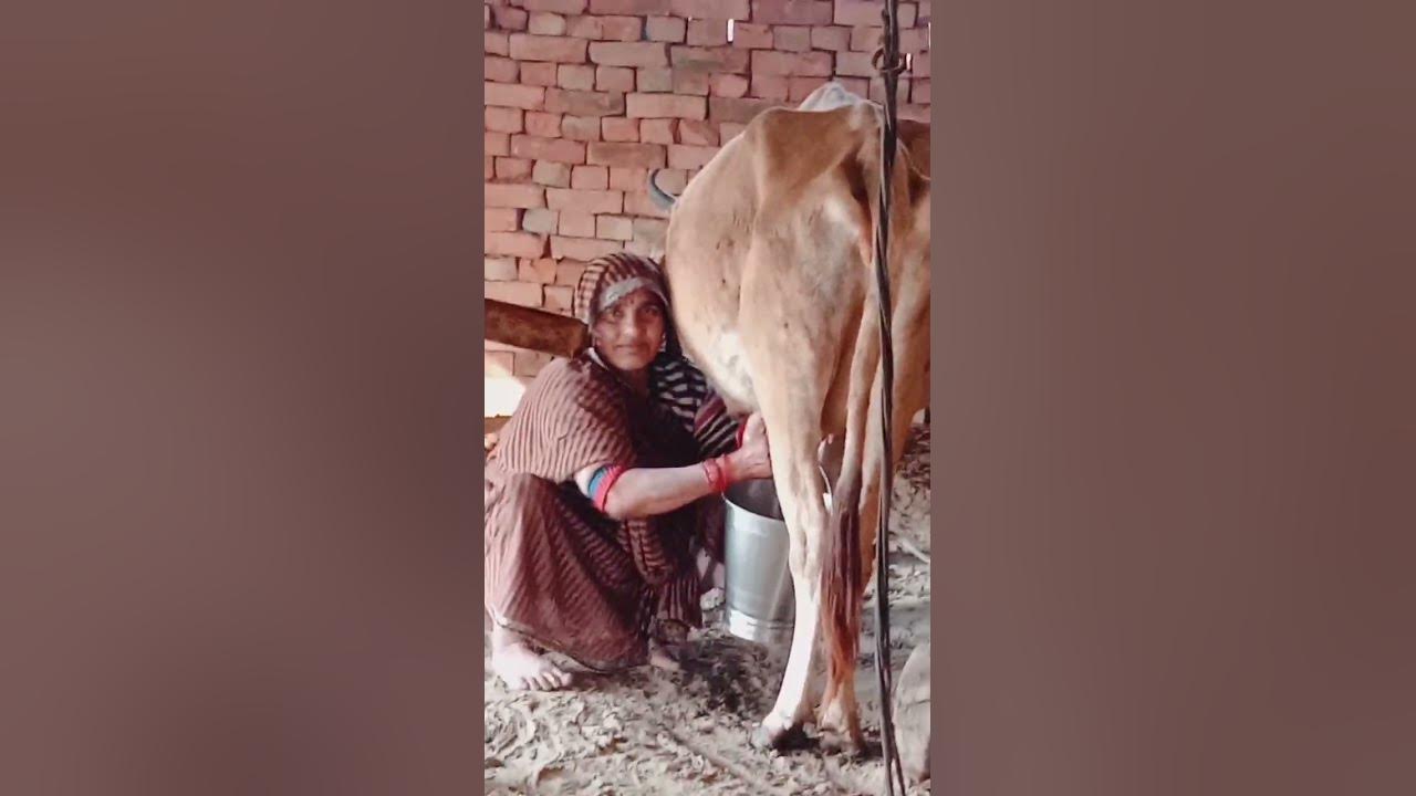 meri-saasu-mummy-dudh-dudh-rahi-hai-please-like-comment-and-share-our