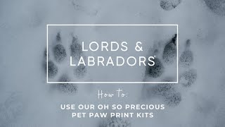 Oh so precious range | How to use by Lords & Labradors 18 views 2 months ago 9 minutes, 36 seconds