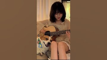 Thumbnail of Guess which song is this? #youtube #guitar#music#song#singer#guitarlife#fingerstyle#viral#fyp#shorts