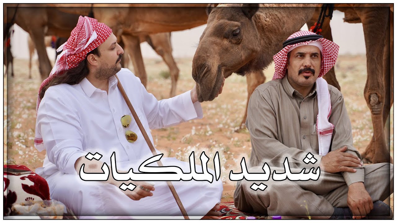 شديد صاحب السمو الملكي الأمير ناصر بن نواف آل سعود الى لينه - قناة المصور 👈@ALK-171