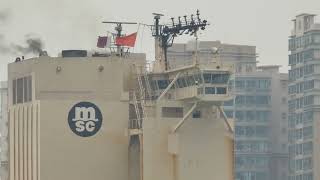 Container Ship《MSC FIE X》Crossing Tsing Ma Bridge 20250108