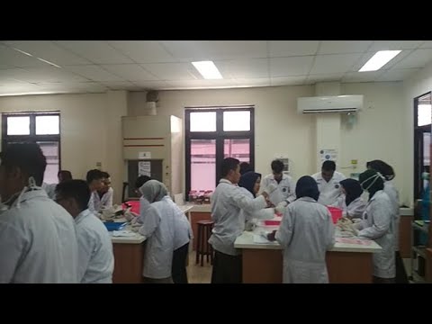 Praktikum Biokimia Kedokteran Kolesterol dan