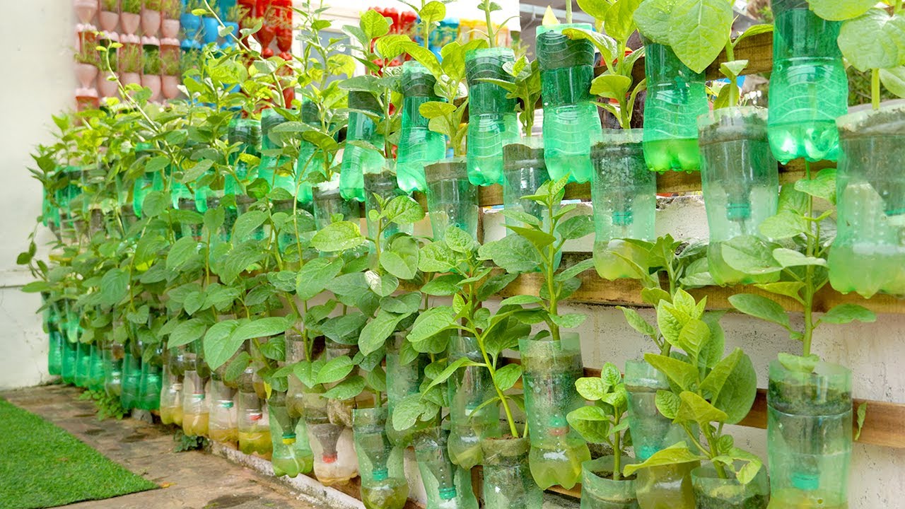 Growing Vegetables At Home With Automatic Watering Vertical Vegetable Garden Ideas You Vertical Vegetable Garden Ideas, How To Grow Vertical Garden At Home