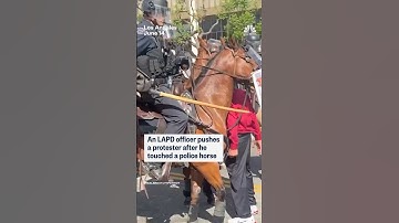 An LAPD officer pushes a protester after he touched a police horse