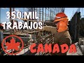 💁 Canadá necesita trabajadores de la construcción - 💁 350 mil NUEVOS PUESTOS 💁 #LaUne