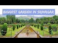 Biggest Mughal Garden - Nishat Bagh in Srinagar Kashmir India | Kashmir Tour | Safar Stories