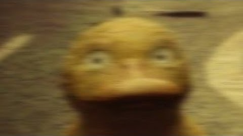 "TRAPPER STEPS ON HIS OWN TRAP 3 TIMES!" Dead By Daylight Juke Moments #2