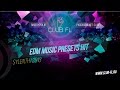 #1 EDM Music Presets HIT-  Sylenth1 2013