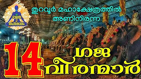 തുറവൂർ മഹാക്ഷേത്രത്തിൽഅണിനിരന്ന 14 ഗജവീരന്മാർ | Thuravoor Temple 14 Kerala Elephant