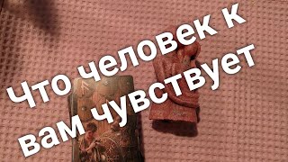 Что человек к вам чувствует. Расклад Таро.