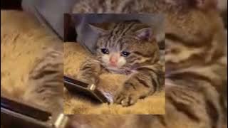 Download lagu Bila benar sayang - Bagindas, speed up