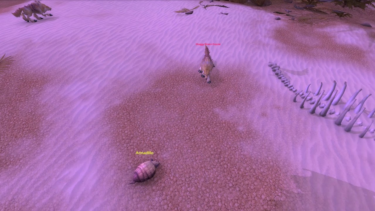 Armadillo vs Coyote in corrupted Uldum