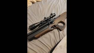 kral ekinoks semiautomatico