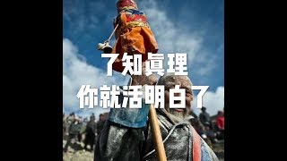201707 了知真理你就活明白了23161
