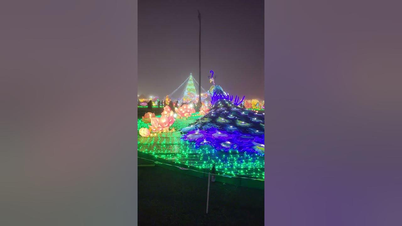 peacock light display at Magical Winter Lights in Baytown, Texas YouTube