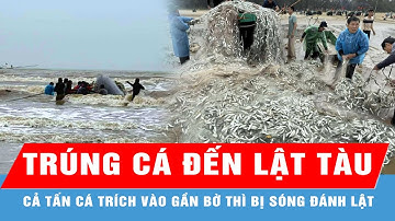 Vừa trúng đậm 1,5 tấn cá trích, tàu của ngư dân bị sóng đánh lật trên biển