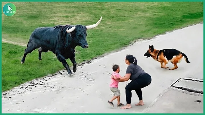 50 Hero Animals That Saved Human Lives | Best Moments of 2025 #3