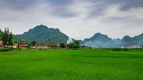 Nhạc phẩm Ngọn Trúc Đào. Cẩm Ly & Quốc Đại ca