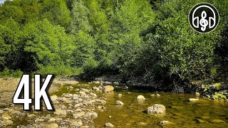 Sounds of nature. The noise of a mountain river with birdsong. 10 hours in 4K. by Музыка Живой Природы 2,628 views 8 days ago 10 hours, 1 minute