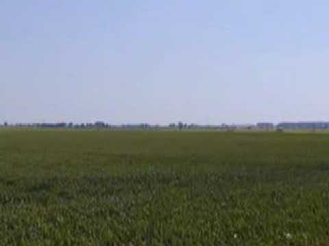 Green Fields of France