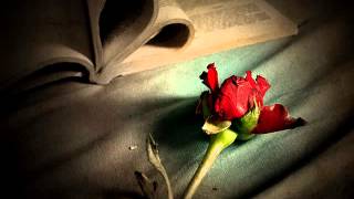 Phir Muhabbat Instrumental (Flute,Piano,Guitar)