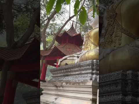 Тайский монах со своими малыми