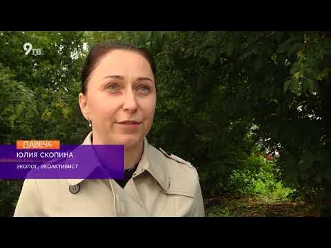 корреспонденты кировской программы давеча. программа давеча. программа давеча. вести давеча киров. программа давеча.