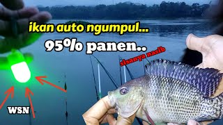 SAYA BONGKAR‼️CARA MANCING NILA MALAM HARI...! MANCING NGANTANG