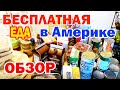 США 🇺🇸 Бесплатная еда в Америке / Какие продукты можно получить БЕСПЛАТНО в Американском Фуд Банке