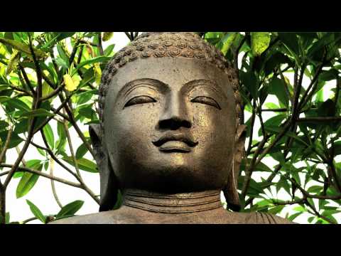 Eboman — Ebo Man - Donuts With Buddha