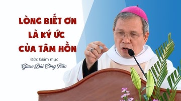 LÒNG BIẾT ƠN LÀ KÝ ỨC CỦA TÂM HỒN | Bài giảng của Đức Giám mục Giuse Bùi Công Trác