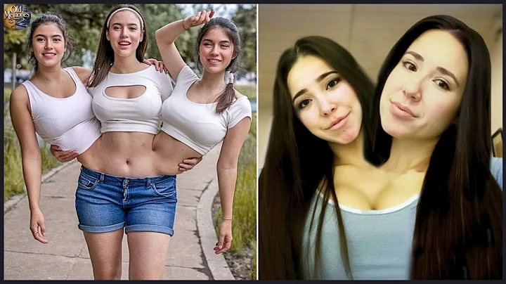 Video 11743651: siamese