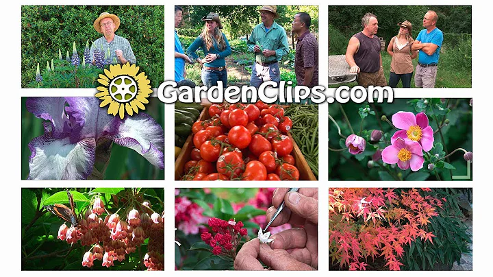 A world of Garden Plants for the Gardener