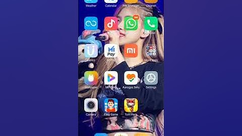 Phone Internal Storage Full siam dan