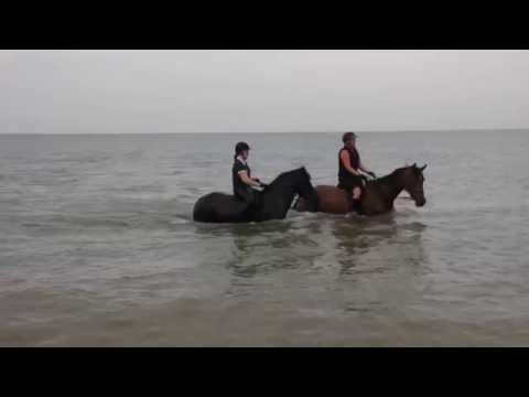 2014.07.19 - Beach Ride (6)