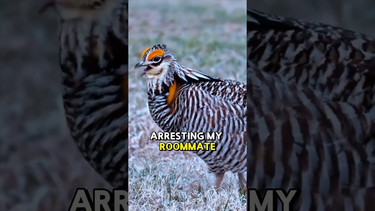 AITA For Listening To My Neighbor S Creepy Warning 
