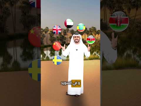 الشيخ زايد بن سلطان آل نهيان