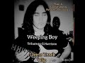 Weeping Boy A George Harrison Tribute Music &amp; All Instruments Dan G. Peñaranda✌️☮️🤟🎼🎸🎶