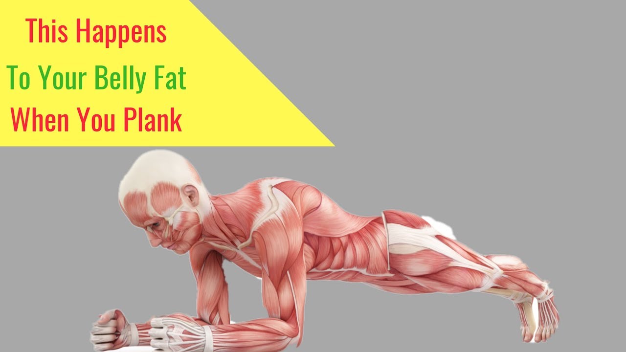 Do Planks Burn Belly Fat?