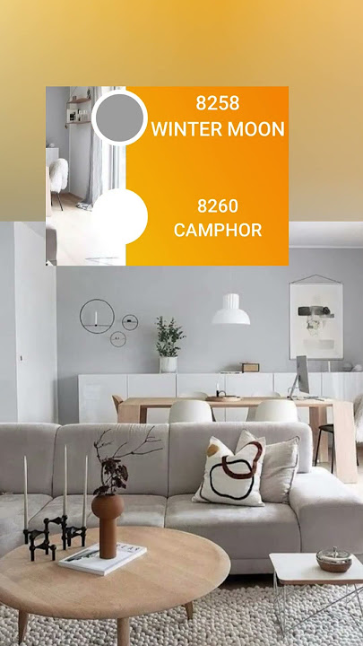 Best Grey Paint Color Combination | Asian paints GREY color codes #shorts #interior design
