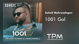 Soheil Mehrzadegan 1001 Gol (Remix) - سهیل مهرزادگان ریمیکس آهنگ 1001 گل