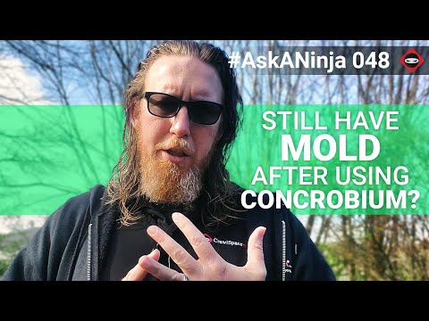 Video: Concrobium có thực sự hoạt động?
