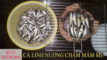 BẮT CÁ LINH NƯỚNG CHẤM NƯỚC MẮM ME-KÝ ỨC QUÊ HƯƠNG