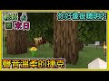 【繁星】Minecraft 週一輕鬆末日💀你好像很聰明內🧪溫柔聲音的捷克 || 我的世界 ||【精華】