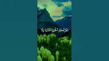 إنَّ وَعْدَ اللَّهُ حَقَّ 💚⚘️القرآن راحة نفسية 🥀حالات واتس اب قرآن كريم