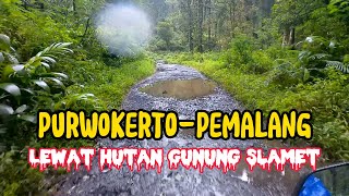 Purwokerto - Pemalang Via Jalur hutan Baturaden , sepi dan menyeramkan..!