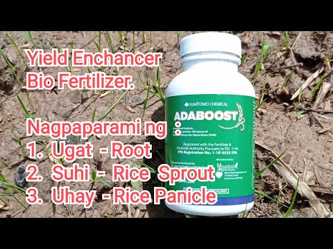BIO FERTILIZER