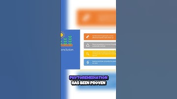 Can Plants Save Our Soil  🌱 The Promise of Phytoremediation!