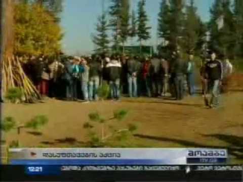 MOE: დასუფთავების აქცია არაგვის ხეობაში